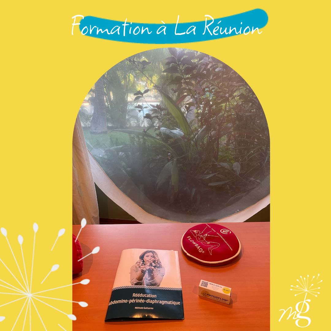 Formation à La Réunion