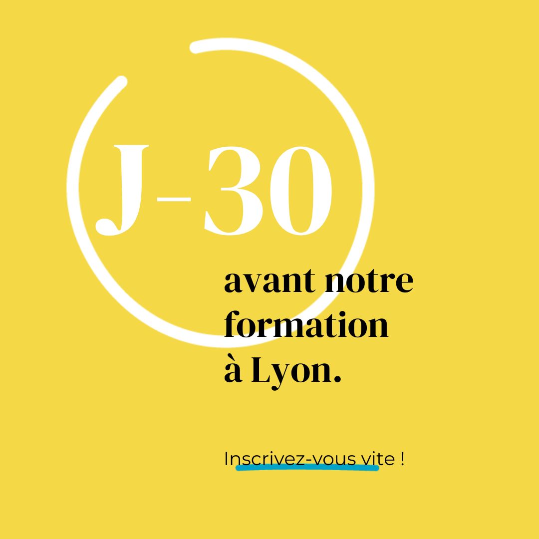 Formation à Lyon les 15 et 16 novembre