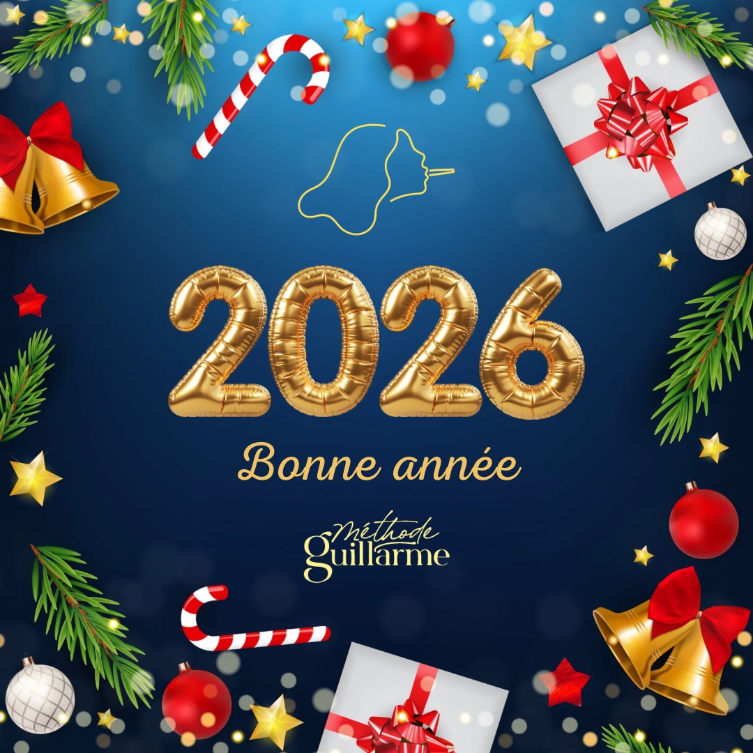 ✨ Bonne année à toutes et à tous ✨