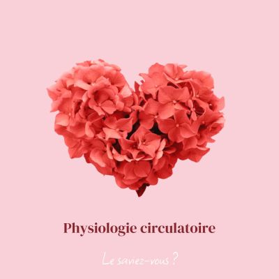 Physiologie circulatoire