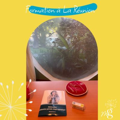 Formation à La Réunion